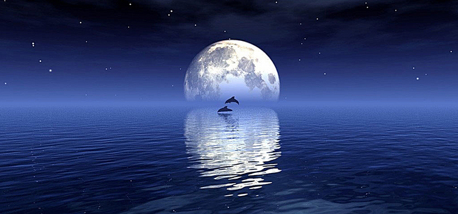 f8d663de77047d6e8840dbf4a6070251bc478dba7e3bd-5ItEeO_fw658.jpg