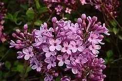 060332bzj1061jx0mg3u7d.jpg