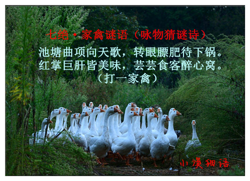 d60d6695d34df534fb27ed8b38e7ce4f_����.jpg